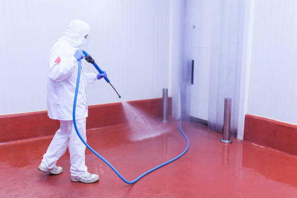 Best Deck and Patio Pressure Washing in Wildwood, MO