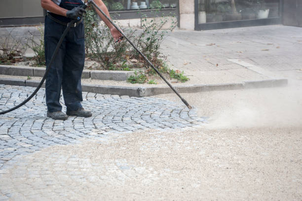 Best Fence Cleaning and Maintenance in Wildwood, MO